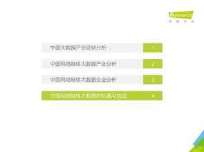 2016年中國(guó)數(shù)據(jù)驅(qū)動(dòng)型互聯(lián)網(wǎng)企業(yè)大數(shù)據(jù)產(chǎn)品研究報(bào)告 工業(yè)互聯(lián)網(wǎng)數(shù)據(jù)服務(wù)的關(guān)鍵態(tài)勢(shì)與啟示