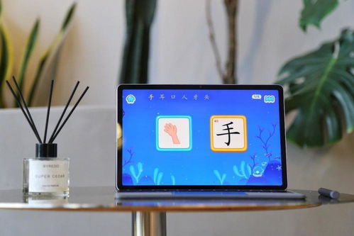 雪青紫驚艷登場，賦能家庭教育場景 vivo Pad深度上手體驗